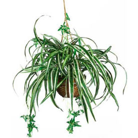 Nearly Natural Spider Hanging Basket Silk Plant 6607