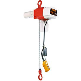 ED Dual Speed Electric Chain Hoist - 220 lbs 10' Lift 43/10 ft/min 120V ED220DS-10-120V