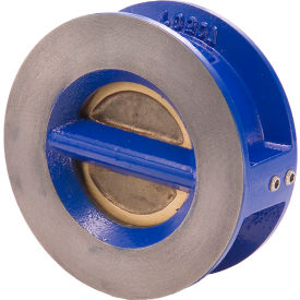 Legend Valve® T-312 Ductile Iron Check Valve w/ EPDM Seats Aluminum Bronze Disc 2-1/2