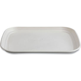 Eco-Products Regalia Sugarcane Servingware Platter 17