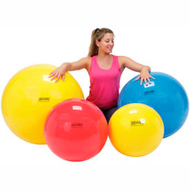 PhysioGymnic™ Molded Vinyl Inflatable Exercise Ball 75 cm (30