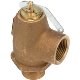 Allpoints 56-1349 50 PSI Brass Steam Safety Relief Valve - 3/4