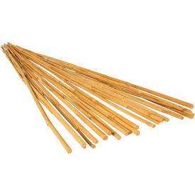 GROWT HGBB6 6' Bamboo Stakes Natural Color 25 Pack HGBB6