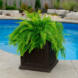 Example of GoVets Planters and Pots category