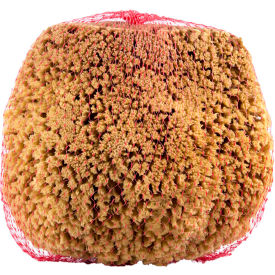 Example of GoVets Brushes Sponges and Squeegees category