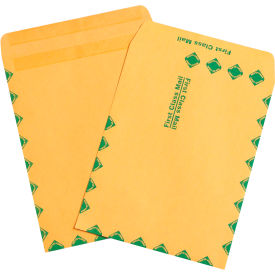 GoVets™ First Class Redi-Seal Envelopes 10