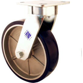 RWM Casters 65 Series 6