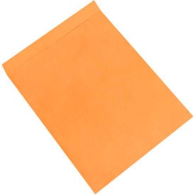 Jumbo Ungummed Envelopes 27