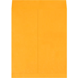 GoVets™ Jumbo Envelopes 16