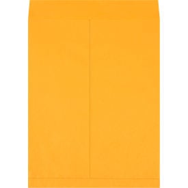 GoVets™ Jumbo Envelopes 18