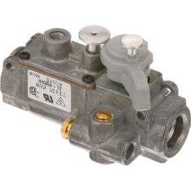 Allpoints 541022 Pilot Safety Valve3/8