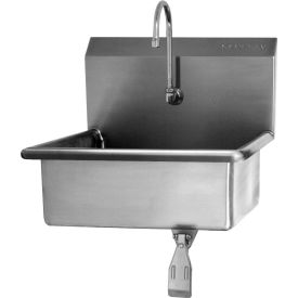 Sani-Lav® 5041 Wall Mount Sink With Single Knee Pedal Valve 1504