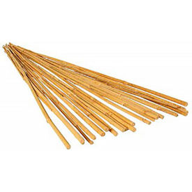 GROWT HGBB4 4' Bamboo Stakes Natural Color 25 Pack HGBB4