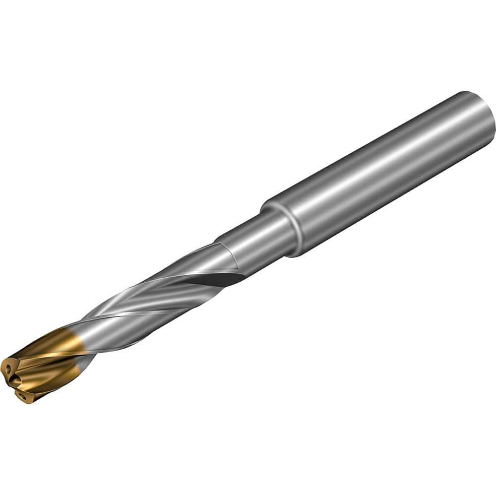 Extra Length Drill Bits, Drill Bit Size (mm): 17.00 , Overall Length (mm): 246.0000 , Tool Material: Solid Carbide , Coating/Finish: PVD  MPN:8360153