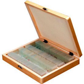 AmScope PS100D 100 pc. Anatomy Botany Prepared Microscope Slides with Wooden Case PS100D