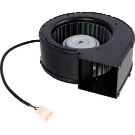 Replacement Suction Motor for GoVets™ Battery Walk-Behind Sweeper 641831 531RP8