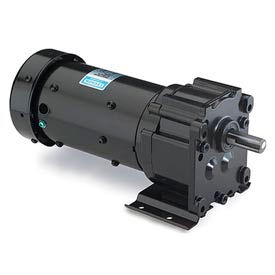 Leeson M1145023.00 1/15 HP 15 RPM 115/230V 1-Phase TENV P240 1141 Ratio 250 In-Lbs 45023.00M11