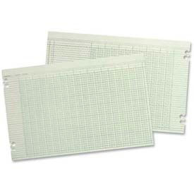 Wilson Jones® Columnar Pad 11