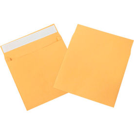 Self Seal Expandable Envelopes 10