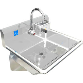 BSM Inc. ADA SS Sink 1 Station with Electronic Faucet Wall Mount 24