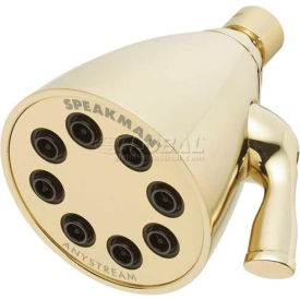 Speakman Anystream® Icon 8-Jet Shower Head Polished Brass Finish 2.5 GPM S-2251-PB