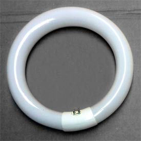 22 Watt Circle Fluorescent Bulb T-9