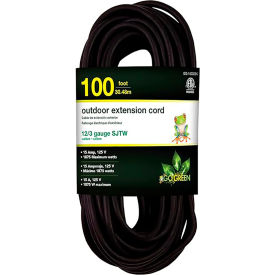 GoGreen Power SJTW Heavy Duty Extension Cord 1 Outlet 12/3 Gauge 100'L Black GG-14000BK