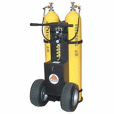 Example of GoVets Breathing Air Cylinder Carts category