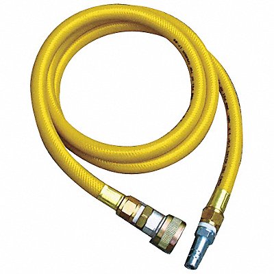 Airline Hose 10 ft 250 psi MPN:H-10-5