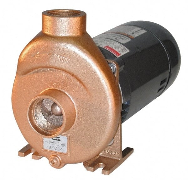 115/230 Volt, 22/11 Amp, 1 Phase, 1-1/2 HP, Self Priming Spa and Pool Pump MPN:388J-999-97