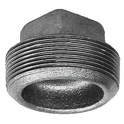 Square Head Plug Malleable Iron 1 1/4 in MPN:0318902483