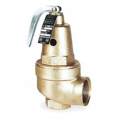 Safety Relief Valve 1-1/4In 30psi Bronze MPN:1060605