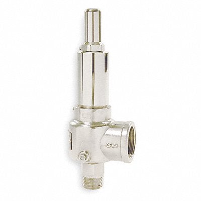 D4504 POP Safety Valve 1/2 x 1 In 100psi SS MPN:541DCBKMAA0100