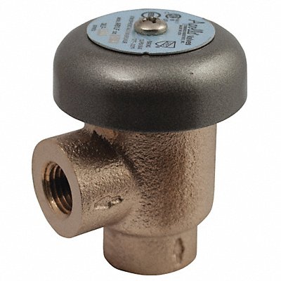 Vacuum Breaker 1/4 in FNPT 125 psi MPN:38LF10101