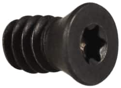 Cap Screw for Indexables: Torx Drive MPN:PART TF440-195