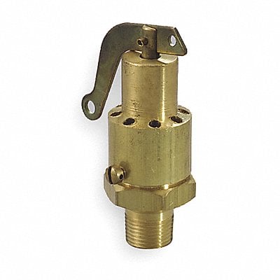 Safety Relief Valve 1/4 In 100 psi Brass MPN:130A-100