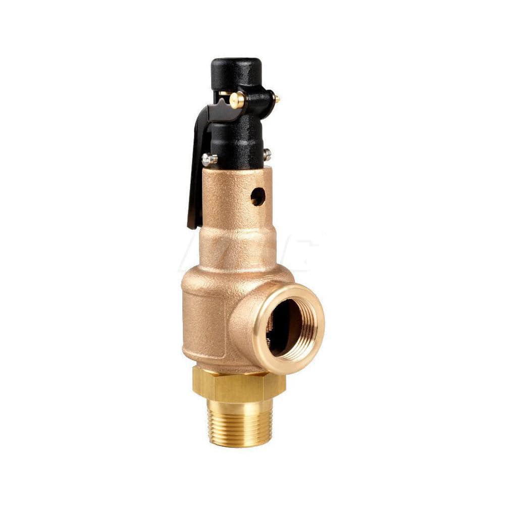 Steam Relief Valve: 1-1/4