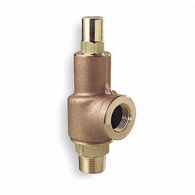 D4547 Adjustable Relief Valve 1/2 In 100 psi MPN:69A1-100