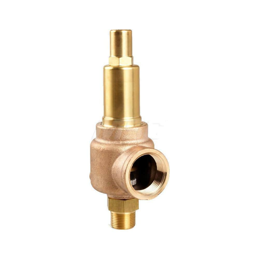 Liquid Relief Valve: 3/4