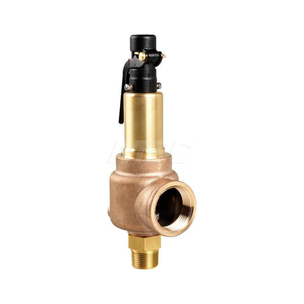 Air & Gas Relief Valve: 1-1/2