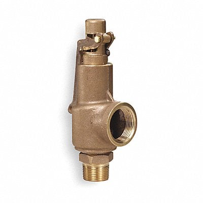 D4513 Safety Relief Valve 1 x 1-1/4 In 100 psi MPN:88C2-100