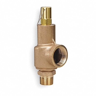 D4517 Safety Relief Valve 1/2 x 3/4 In 100 psi MPN:89A2-100