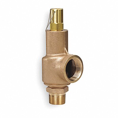 D4519 Safety Relief Valve 1 x 1-1/4 In 100 psi MPN:89C2-100