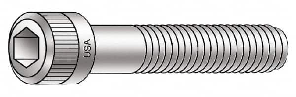 Hex Socket Cap Screw: #6-32 UNC, 7/64