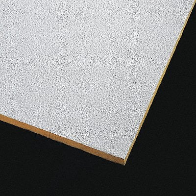 Ceiling Tile 48 in L 24 in W PK10 MPN:2989