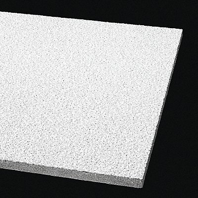 Ceiling Tile 48 in L 24 in W PK8 MPN:302A