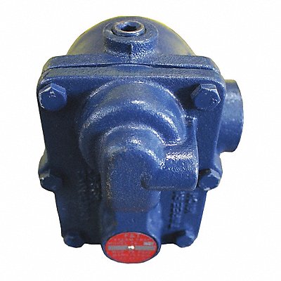 Steam Trap 175 psi 377F 5-1/2 in L MPN:175AI4