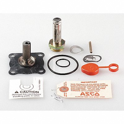 Valve Rebuild Kit With Instructions MPN:302306