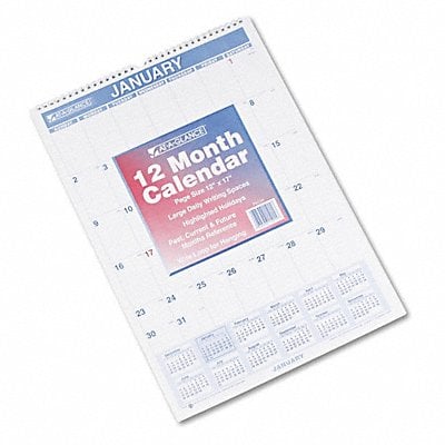 Wall Calendar Monthly 12 x 17 In MPN:AAGPM228