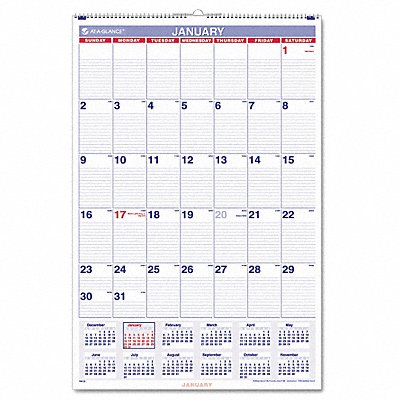 Wall Calendar Monthly 20 x 30 In MPN:AAGPM428